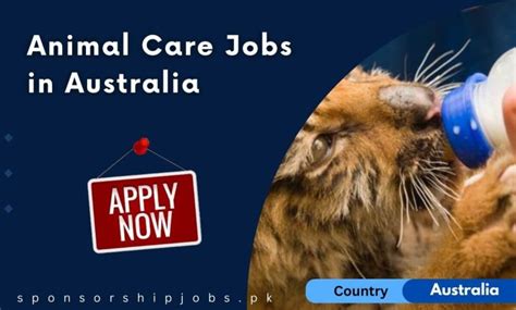 Animal Care Jobs in Fairlight - 2024 Indeed.com