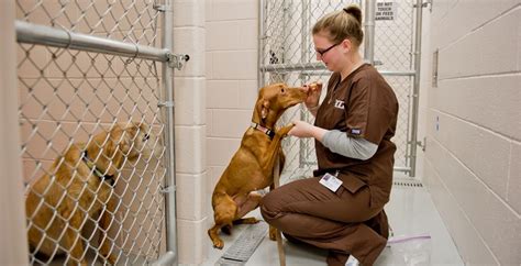 Animal Care Technician 1 (Evanston) Job in Evanston, IL at …