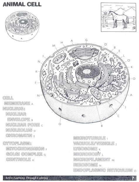Nerd Coloring Pages