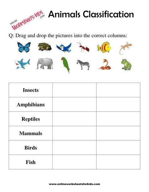 Animal Classification worksheet... Animal classification, Animal