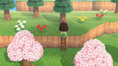 Animal Crossing New Horizons : Comment monter sur les falaises …