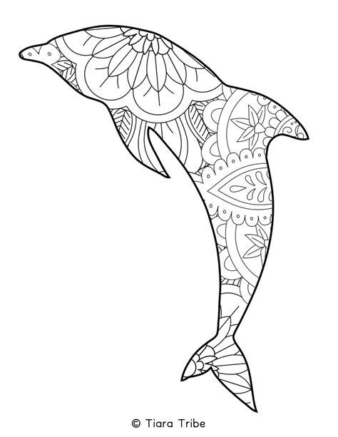 Dinosaur Coloring Books