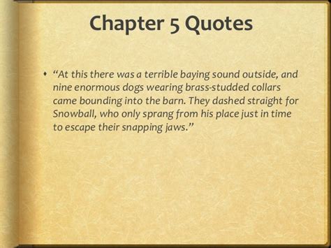 Animal Farm Chapter 5 Quotes Pinterest Short Quotes