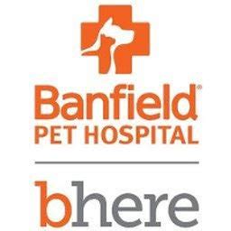 Animal Hospital jobs in Stockrtwn Twp, PA - Indeed