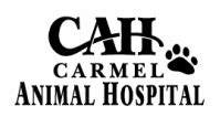 Animal Hospitals in Putnam County, FL