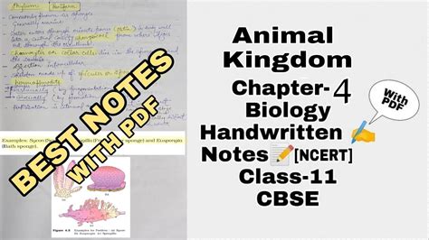 Animal Kingdom Class 11 Notes - Chapter 4 - BYJUS