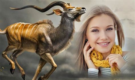 Animal Photo Frames APK Download for Android 