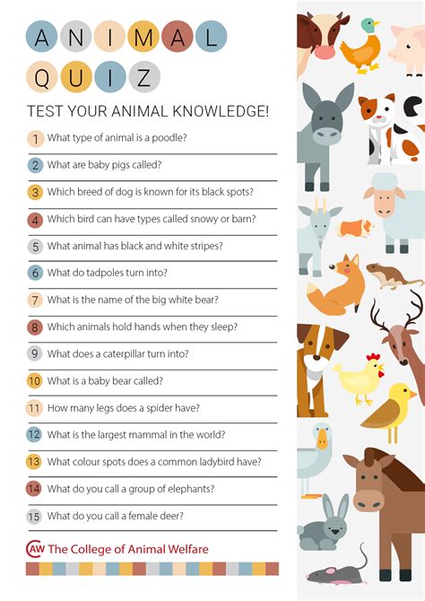 Animal Quiz - Word Games