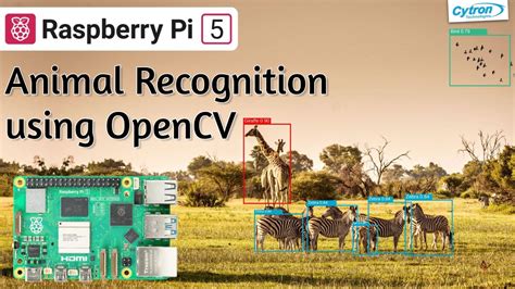 Animal Recognition using OpenCV on Raspberry Pi 5 . 