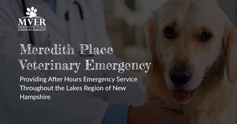 Animal Urgent Care In Meredith, NH Meredith Place