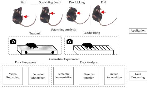 Animal behavior software.  The need for sustenance of the humans, diverse s...
