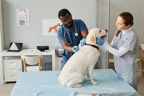 Animal cancer care clinic. 9.9 miles away from Animal Cancer Care Clinic Christy S. said "To provide some context, I had previously brought my dog to my primary care facility for a routine teeth cleaning. However, my dog emerged from the procedure with a bulging eye. 