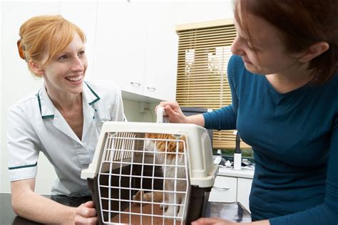 Animal care receptionist jobs. Today's top 70,000+ Veterinary Receptionist jobs in United States. Leverage your professional network, and get hired. New Veterinary Receptionist jobs added daily. 