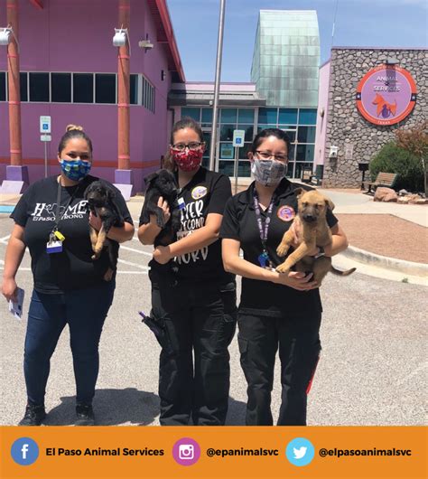 Animal control el paso. El Paso, TX 79924. ( Northeast area) $9 - $10 an hour. Part-time. 25 to 30 hours per week. Day shift + 1. Easily apply. Responsibilities: - Provide care and support for animals in the kennel facility - Feed, water, and exercise animals according to their individual needs -…. Active 6 days ago ·. 
