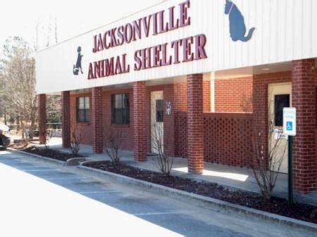 Animal control jacksonville fl. Things To Know About Animal control jacksonville fl. 