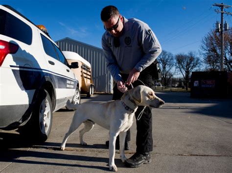 Animal control lincoln ne. Things To Know About Animal control lincoln ne. 