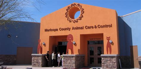Animal control phoenix. Maricopa County Animal Care and Control programs, services, and initiatives are designed to provide the best care possible to animals and the best adoption experience possible to customers. Here are a few of the ways MCACC is Working Together and Saving Lives. 