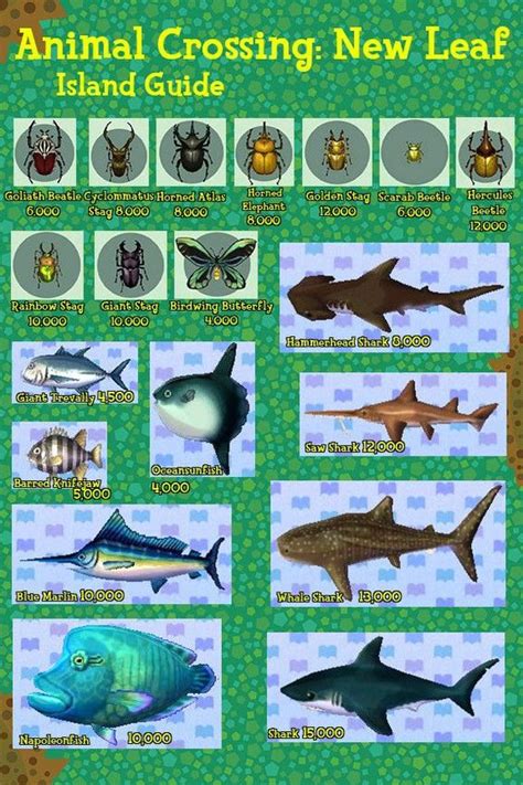 Animal crossing new leaf fish guide. - Hp storageworks p2000 g3 msa smu reference guide.