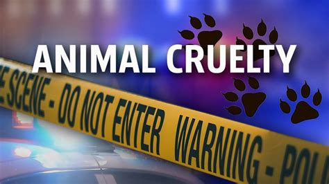 Animal cruelty charges spur calls for official’s resignation in Pennsylvania county