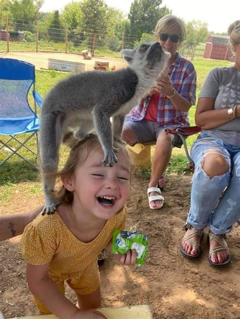 Animal encounter near me. Kick your wanderlust into high gear with one of these unforgettable trips where families can get up-close-and-personal with amazing animal encounters. 