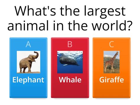 Animal facts (superlative adjectives) - Quiz - Wordwall