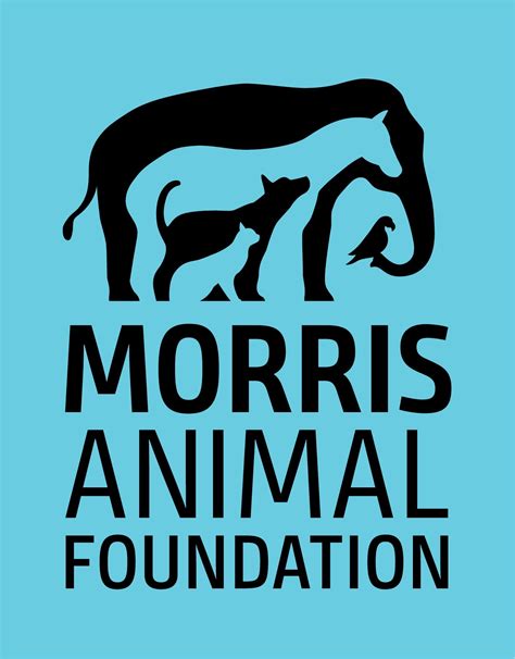 Animal foundation. Things To Know About Animal foundation. 