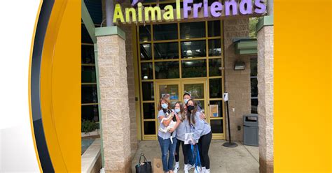 Animal friends pittsburgh pa. Since our humble beginnings in 1943, we have grown into a full-service companion animal welfare organization serving the pets and people of Pittsburgh and the surrounding area. … 