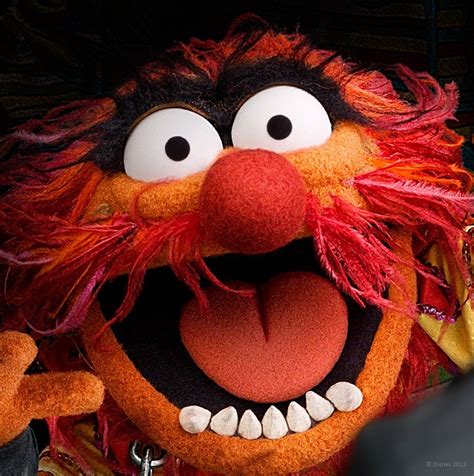 Animal from the muppets. Things To Know About Animal from the muppets. 