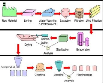 Animal glue manufacturing process.  The Manufacturing Process Making hide or skin glue With...