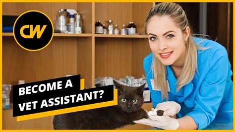 Animal hospital jobs near me no experience. 134 Wildlife Jobs No Experience jobs available on Indeed.com. Apply to Wildlife Removal Technician, ... VCA Animal Hospitals (1) Lees-McRae College (1) Geo-Technology Associates, Inc. (1) ... Wildlife Jobs No Experience jobs. Sort by: relevance - date. 134 jobs. Temporary Park Worker I. State of Nebraska. 