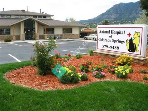 Animal hospital of colorado springs. Cat and Dog Exams and Wellness Care in Colorado Springs, CO. At the Animal Hospital of Colorado Springs, we provide complete life stage preventive care for your furry family member.We recommend annual pet exams for adult pets and biannual visits for senior pets, who are over the age of seven. Pet preventative … 