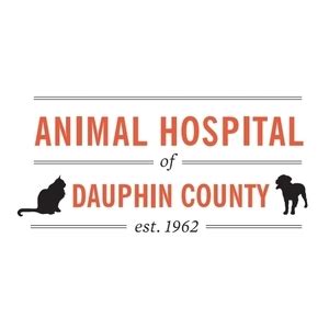 Animal hospital of dauphin county. Things To Know About Animal hospital of dauphin county. 