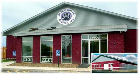 Animal house shelter. Things To Know About Animal house shelter. 