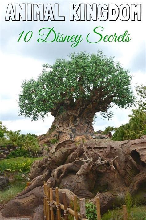 Animal kingdom secrets best disney world vacation guide of tips and fun in 2015. - Sony kdl 46ex520 46ex523 service manual and repair guide.