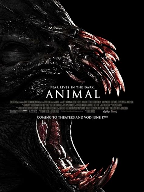 Animal movie. Things To Know About Animal movie. 