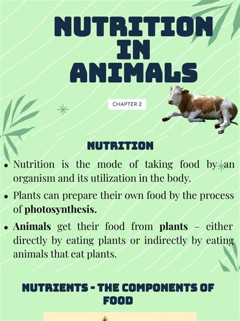 Animal nutrition ppt.  The document outlines various types of feed, dietary Complete chapte...