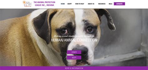 Animal protection league anderson. Anderson, IN 46016 United States. Contact Information ... Animal Protection League Inc. lock Unlock financial insights by subscribing to our monthly plan. Subscribe Unlock nonprofit financial insights that will help you make more informed … 
