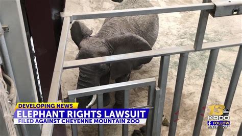 Animal rights group files lawsuit against Cheyenne Mountain Zoo seeking to relocate elephants