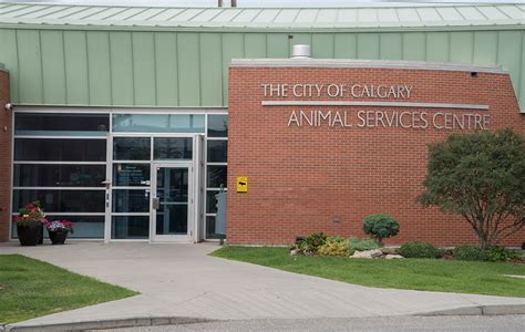 Animal services - Calgary