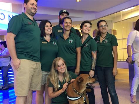 Animal services miami. Things To Know About Animal services miami. 