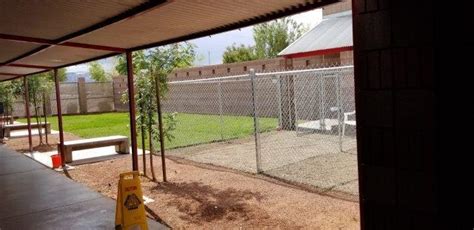 Animal shelter henderson nv. We had to close our gates to our facility in Henderson due to the growth that surrounded us. We now place pets in fosters until a new forever home can be found. Mailing address PO Box 90838, Henderson, NV 89009. Call us at 702 361-2484 