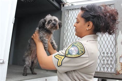 Animal shelter in baldwin park california. Bowie was surrendered by its owner to the Baldwin Park shelter on Nov. 10 and euthanized on Dec. 4, ... California. Animal welfare activists pressure City Council to make changes amid shelter crisis. 