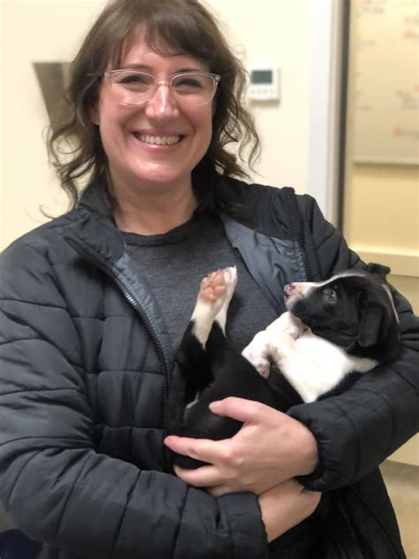 Animal shelter orcas island. Contact Information. Adoption or Volunteer Inquiries: 401-584-7941. Animal Control Calls: 401-348-2558. Emergency Calls: 401-596-2022. 