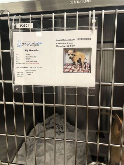 Animal shelter palmdale. Palmdale Animal Care Center is located at 38550 Sierra Hwy in Palmdale, California 93550. Palmdale Animal Care Center can be contacted via phone at 661-575-2888 for pricing, hours and directions. Contact Info 