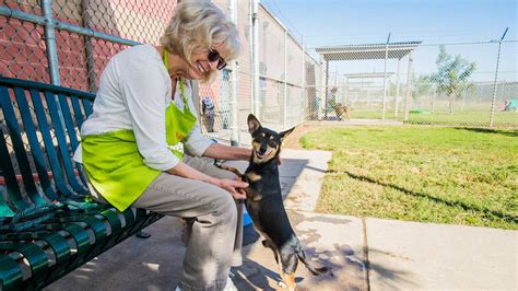 Animal shelter providing adoption, spay an