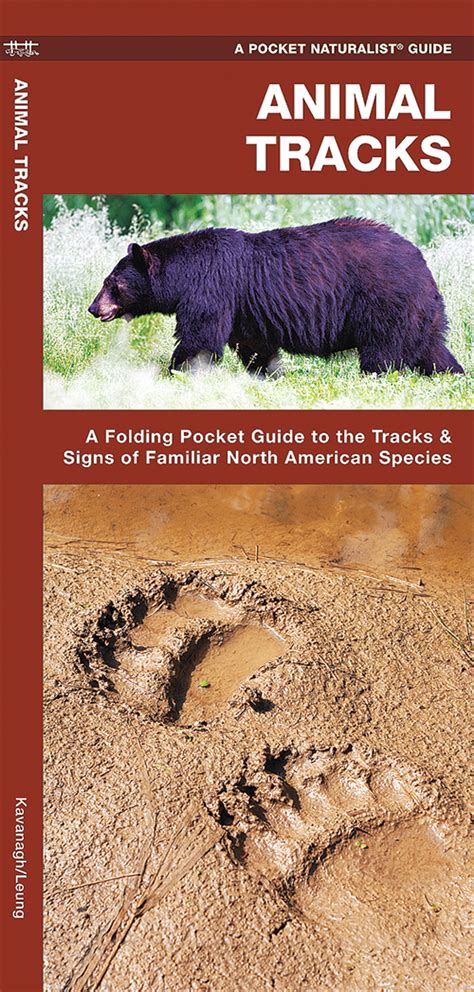 Animal tracks and signs pocket nature guide. - A guide to finding and tracking minor planets and comets.
