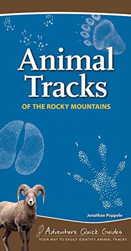 Animal tracks of the rocky mountains adventure quick guides. - Neurogene dysphagien und ihre therapie bei patienten mit trachealkanüle.
