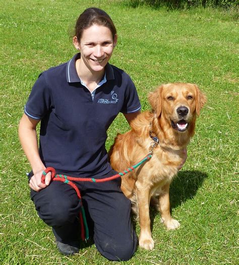 Animal trainer. Owners. In the UK animal trainers, training instructors and behaviourists are not regulated by government. This means that anyone – whatever their training, learning or experience – can call themselves an animal trainer or a behaviourist. Some trainers, instructors and behaviourists belong to organisations who assess their skills and knowledge. 