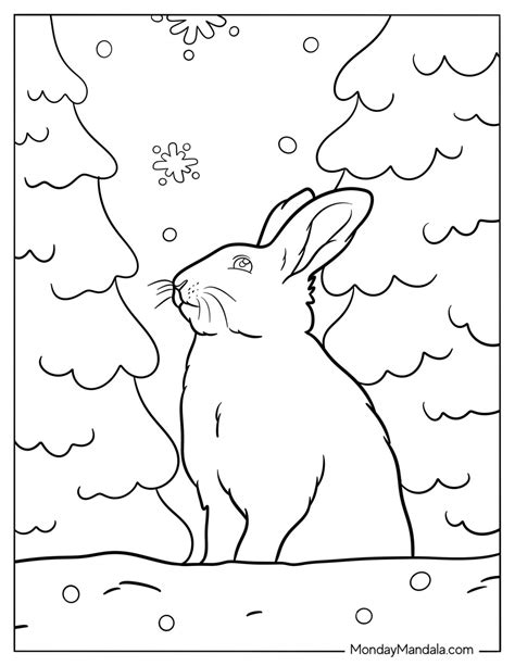 Animals Coloring Shee