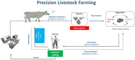 Animals Free Full-Text Adoption of Precision Technologies by ...